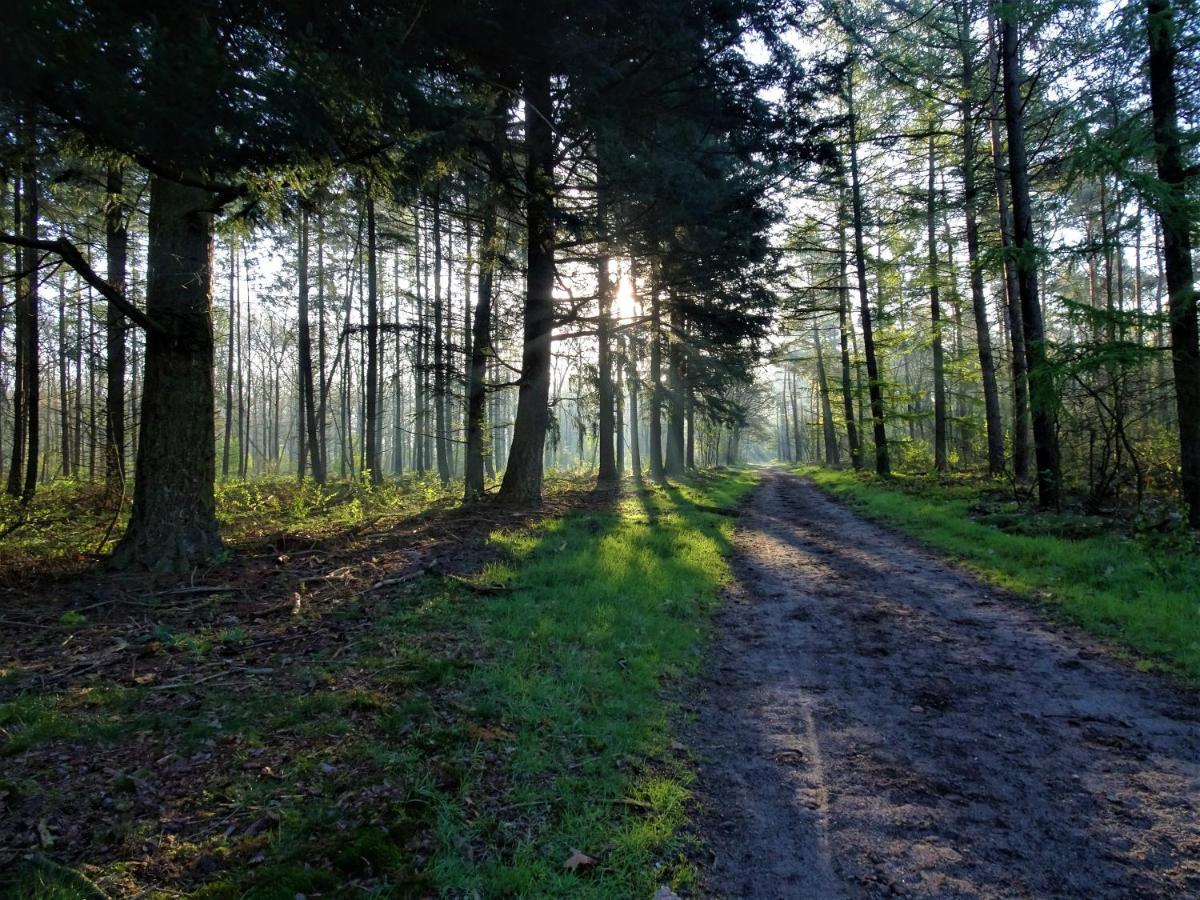 Veluwe Park Reewold Chalet Talisman بوتِنْ المظهر الخارجي الصورة